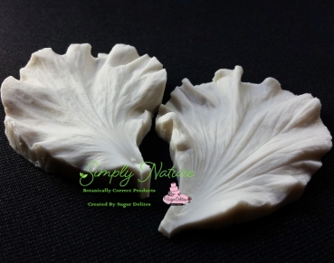Hibiscus Petal Veiner By Simply Nature Botanically Correct Products®